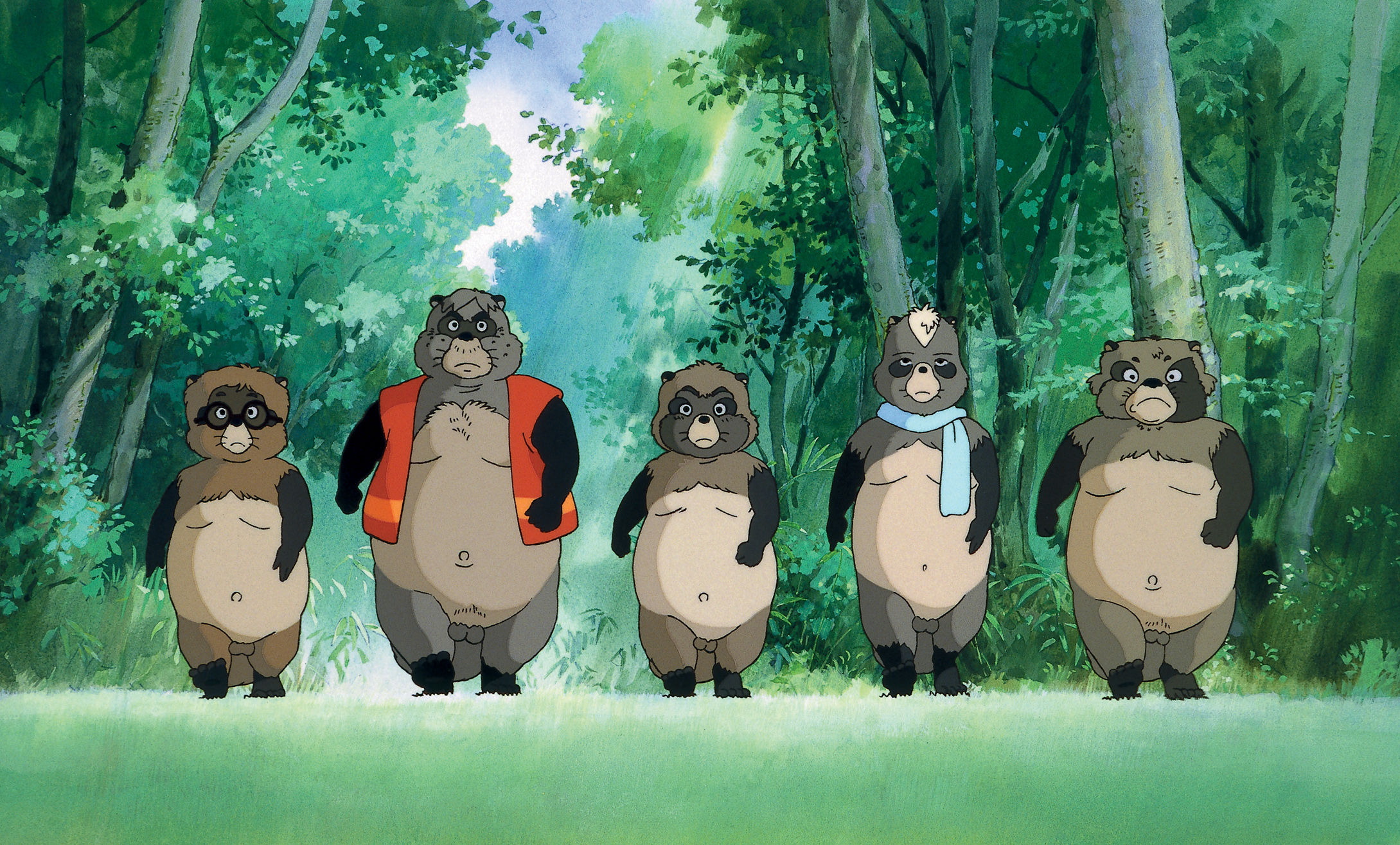 Тануки баяси геншин. Pom Poko Миядзаки.