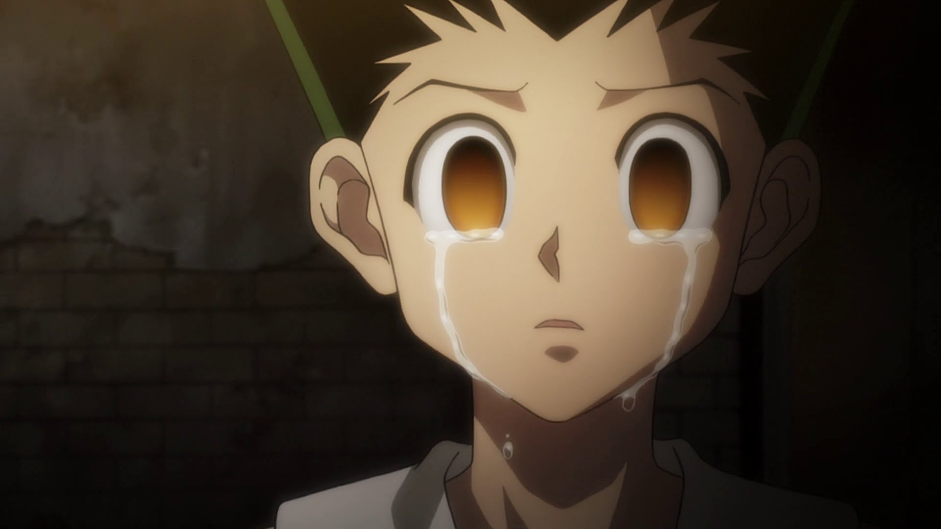 Hunter X Hunter Hunter X Hunter