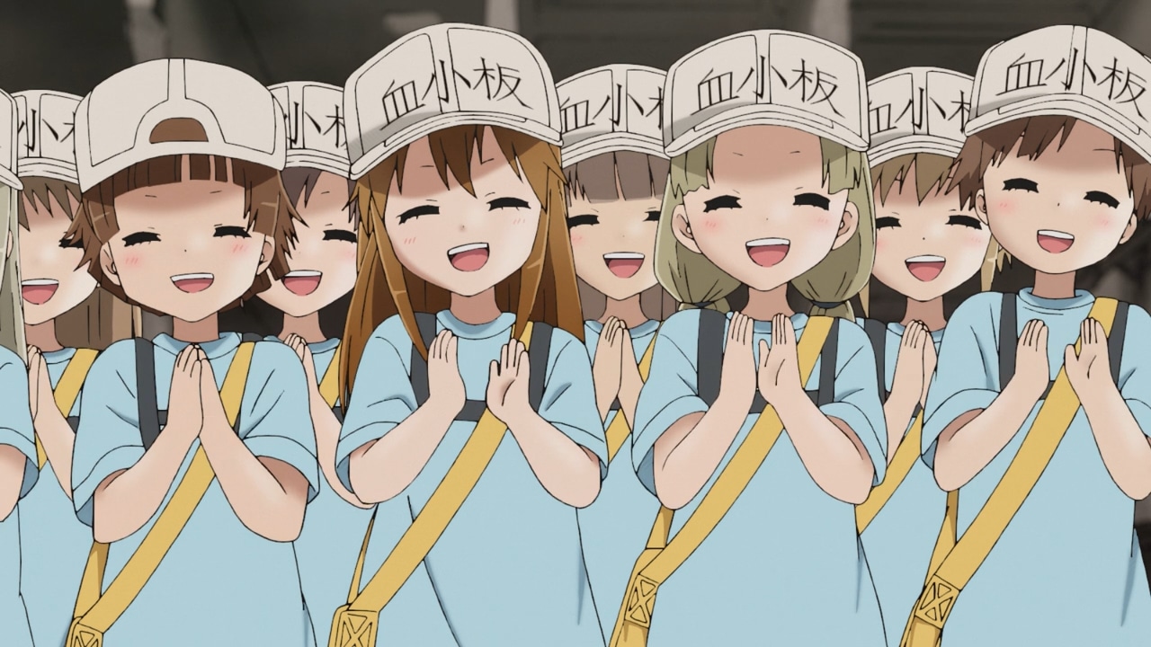 Platelet (Cells at Work) 