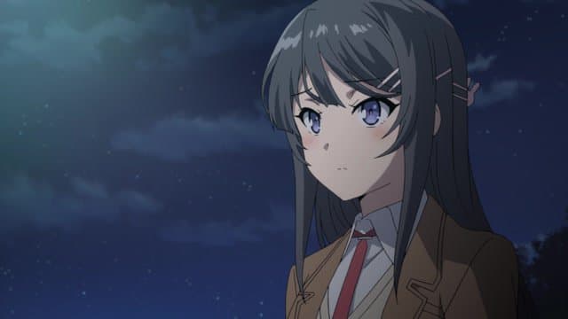 Mai Sakurajima (Pascal Does Not Dream of Bunny Senpai) 