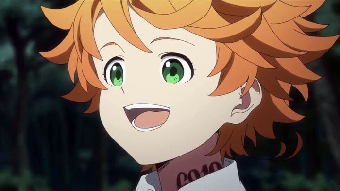 The Promised Neverland