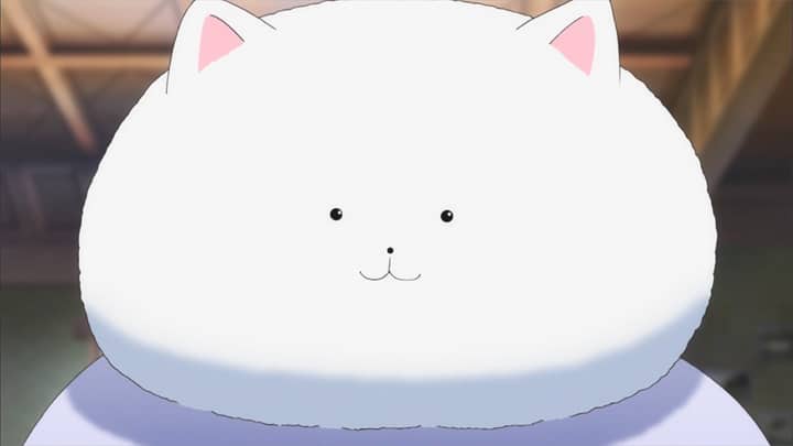 Tippy (Gochuumon wa Usagi desu ka?)
