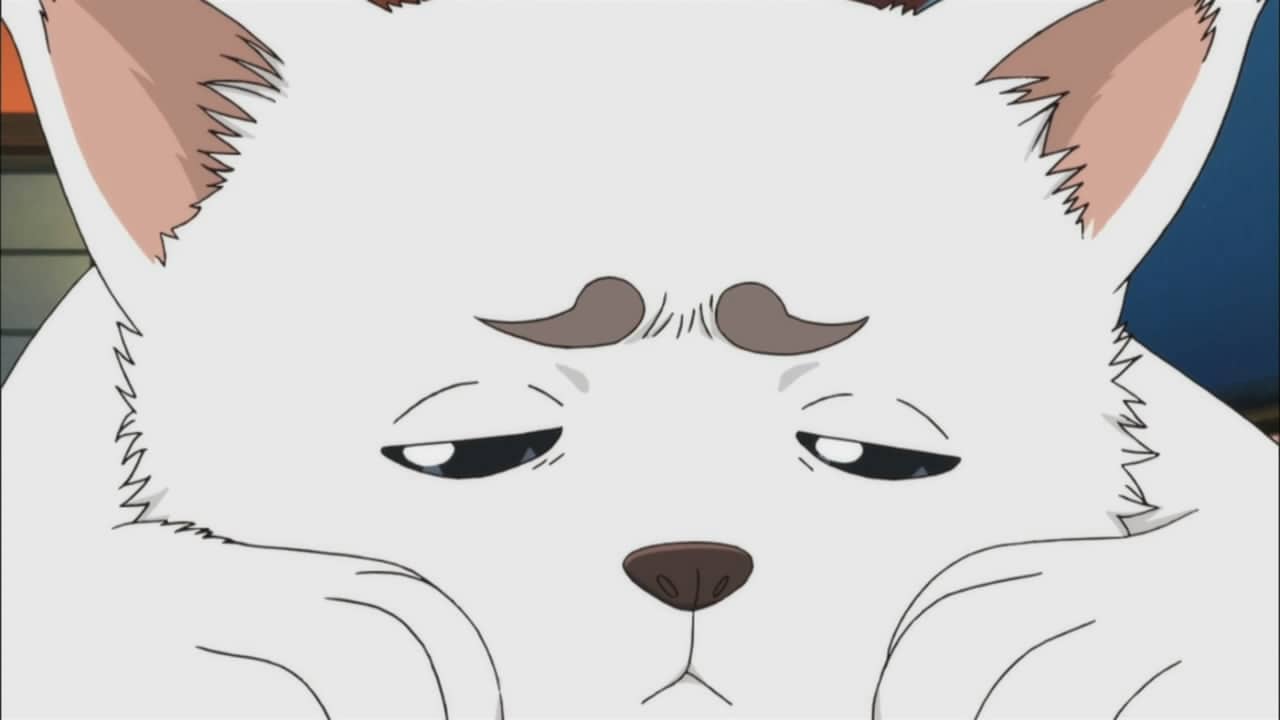 Sadaharu (Gintama)