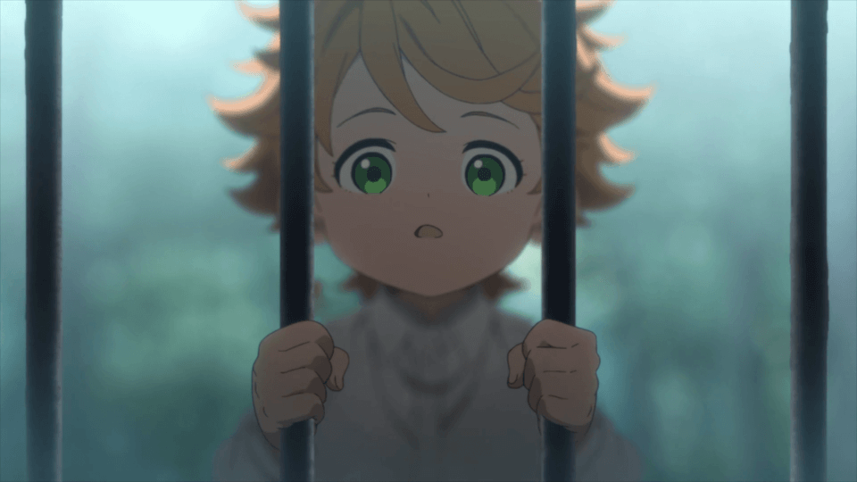 THE PROMISED NEVERLAND