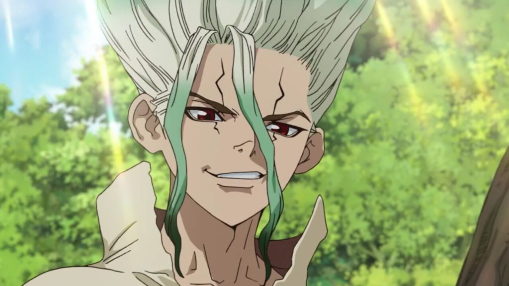 Dr. Stone