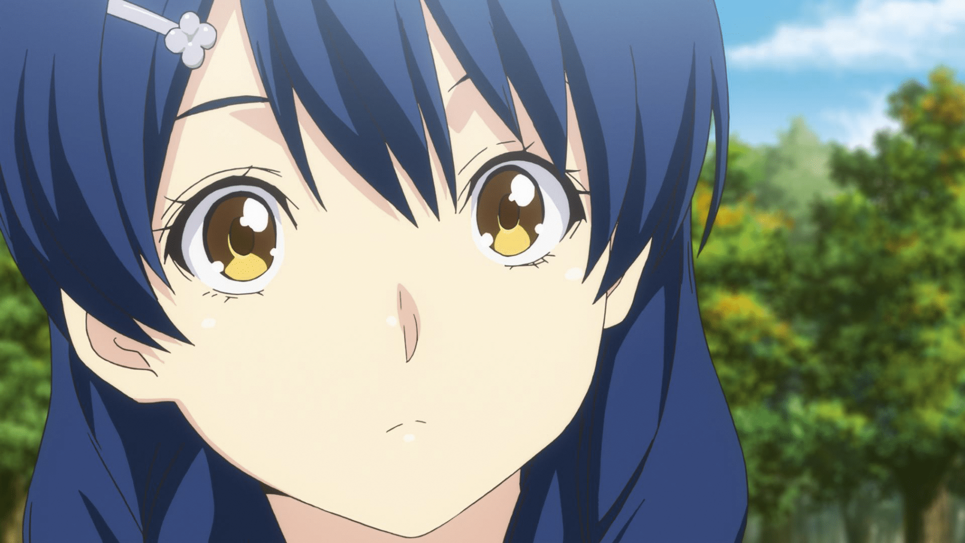 KA_Food-Wars--The-Third-Plate_3_Screenshot-Vol.-1_Staffel-Anime_Screenshot_54509