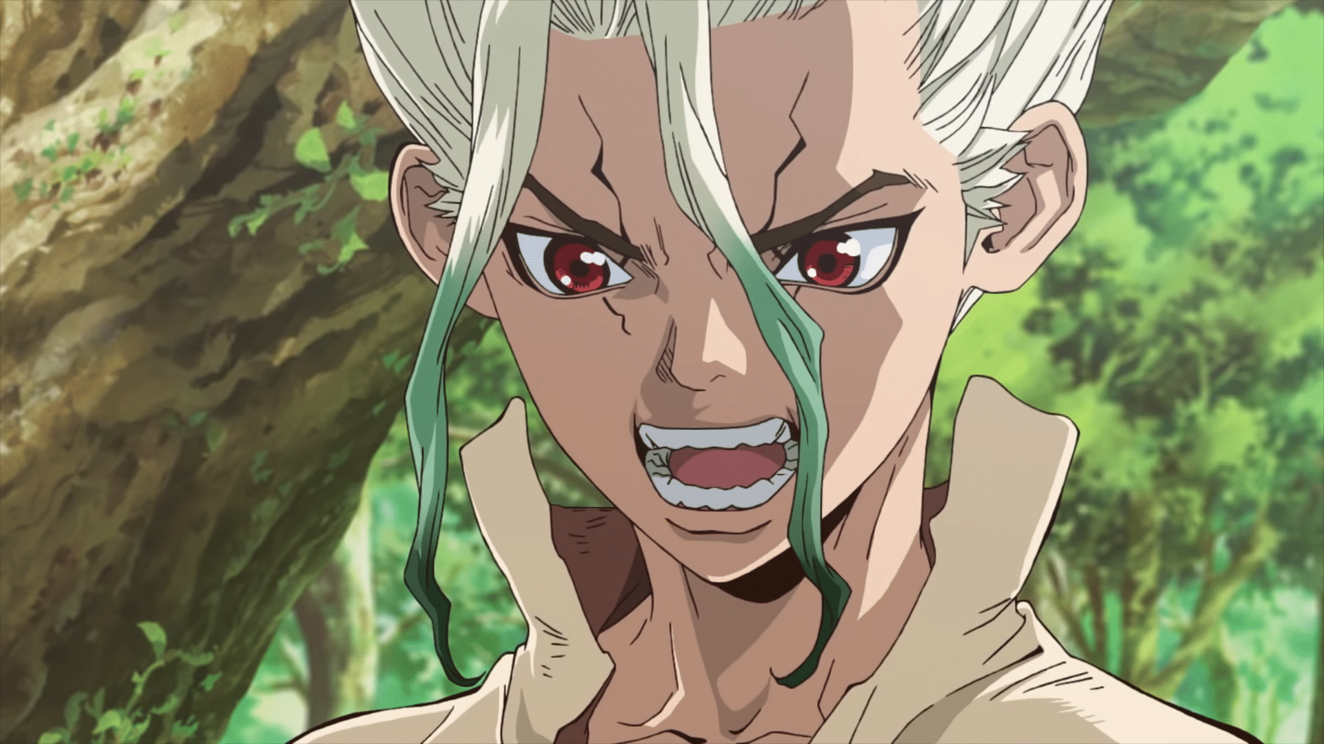 dr. stone