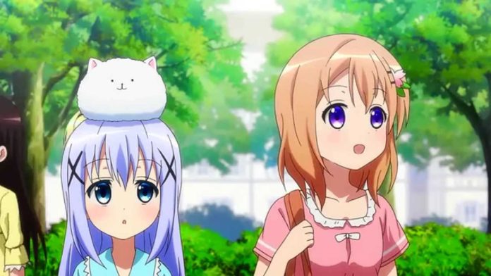 Is this a rabbit a order