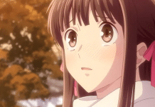 Fruits Basket