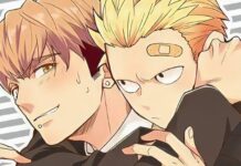 Megumi & Tsugumi – Alphatier vs. Hitzkopf: Dritter Band enthält Extra