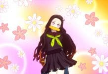 Demon Slayer: Kimetsu no Yaiba – The Hinokami Chronicles