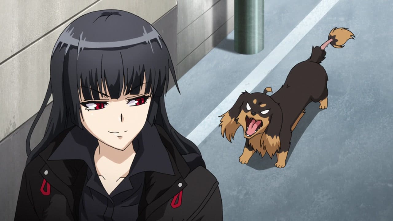 Dog and Scissors Serie kann nun vorbestellt werden