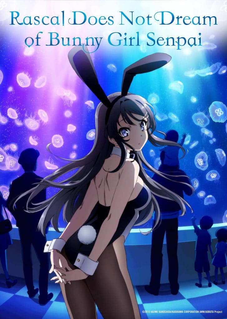 Rascal Does Not Dream of Bunny Girl Senpai