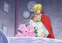 One Piece: Details zur Veröffentlichung der 27. Box bekannt