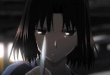 Garden of Sinners: Release der Gesamtausgabe verzögert sich