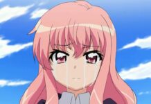 AniMoon: Sechs Disc-Releasetermine verschieben sich