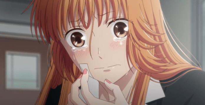 Fruits Basket: Fruits Basket: