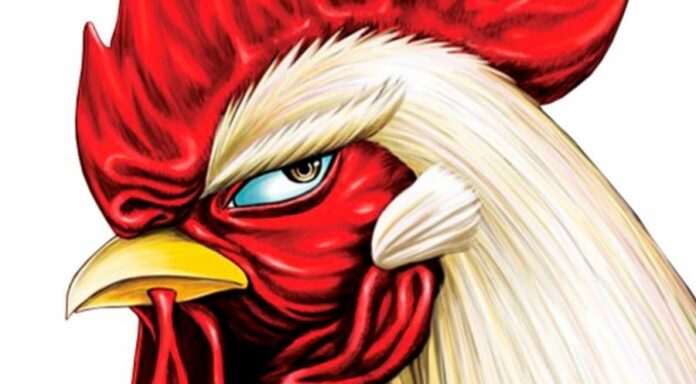 Rooster Fighter Newsbild März 2022