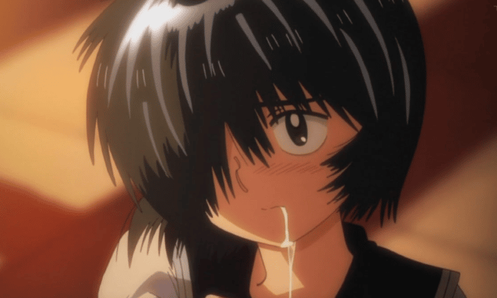 Mysterious Girlfriend X