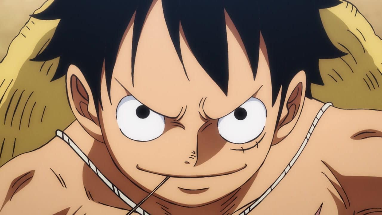 One Piece TV-Serie: So sieht Box 31 aus
