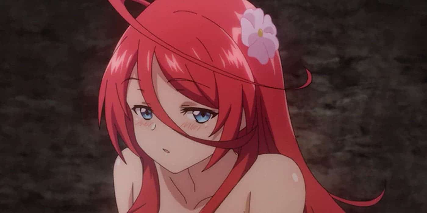 The Fruit of Evolution S2 Neues Visual veröffentlicht