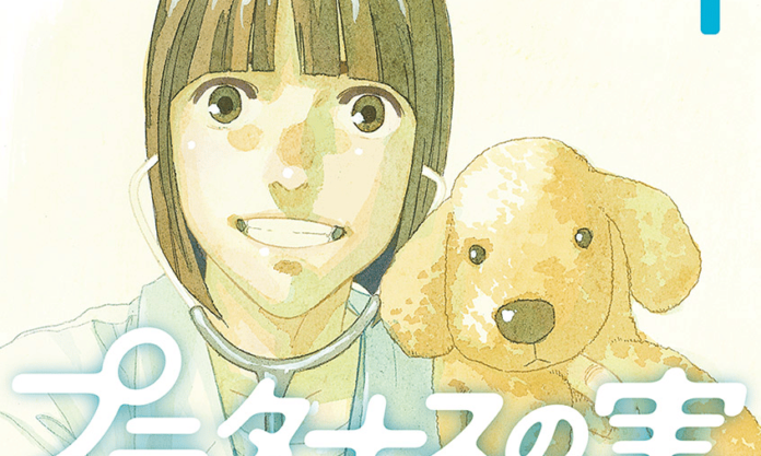 platanus no mi banner