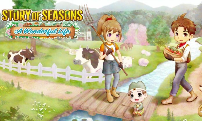 Story of Seasons A Wonderful Life