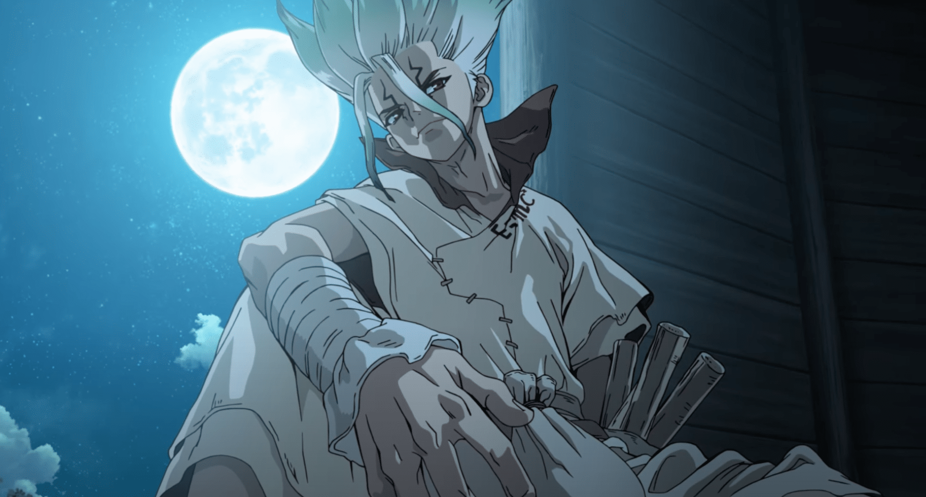 Dr. STONE