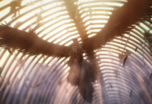 Attack on Titan Final Season THE FINAL CHAPTERS – Trailer zum zweiten Special veröffentlicht