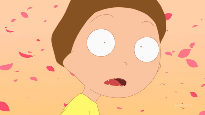 Rick and Morty Anime Newsbild