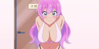 More than a Married Couple, but Not Lovers: Anime vorbestellbar