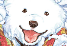 Dezember-Veröffentlichungen von Carlsen Manga im Überblick