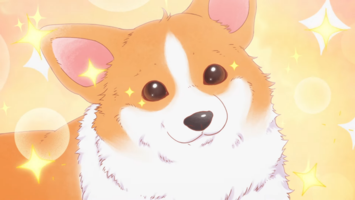 Tono to Inu Newsbild