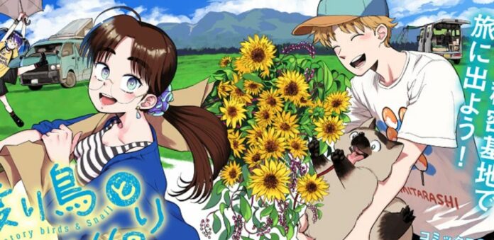 birds and snail header