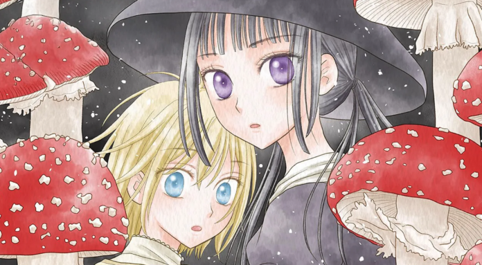 Champignon Witch Champignon Witch