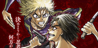 Ninja vs. Gokudo – Manga erhält TV-Anime