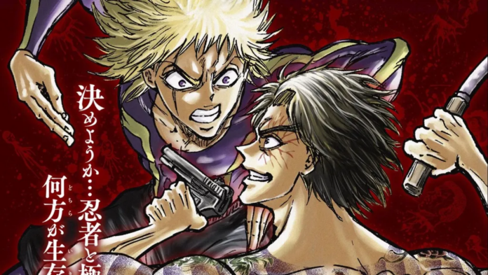 Ninja vs. Gokudo Newsbild
